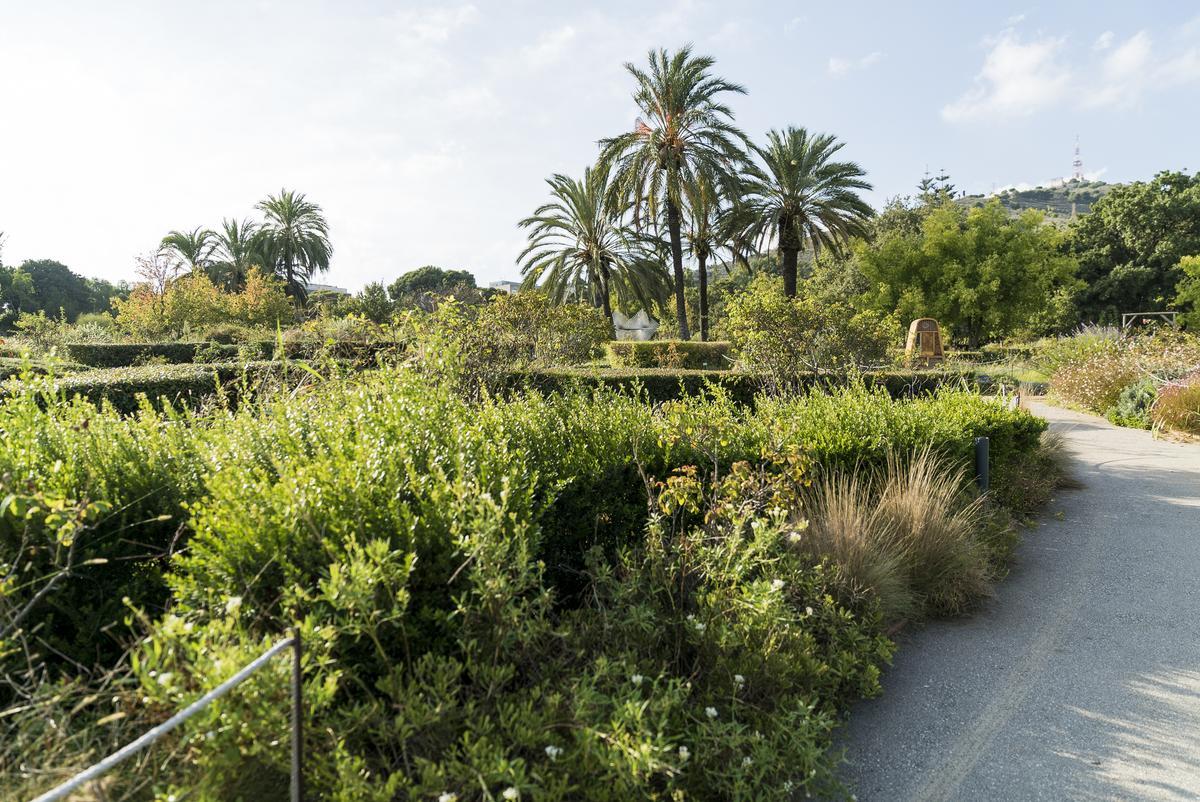 El nou pla Natura preveu crear 18,6 hectàrees més de verd per al 2023