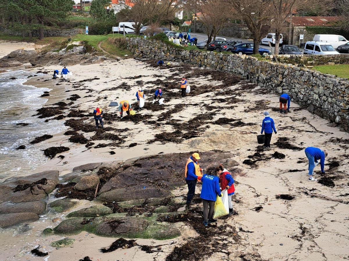 En la actividad participaron una veintena de mariscadores y voluntarios.