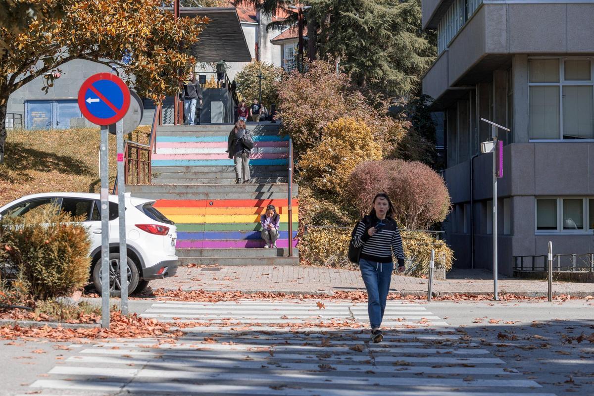 Imagen del Campus Sur de la Universidade de Santiago.