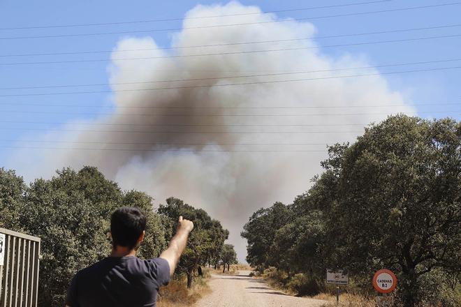 El fuerte viento impide estabilizar el incendio forestal de Cerro Muriano