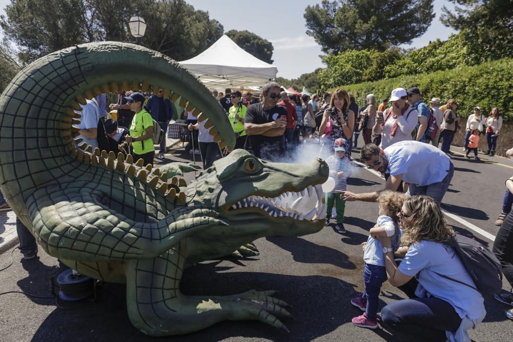 Diumenge de l' Àngel 2017