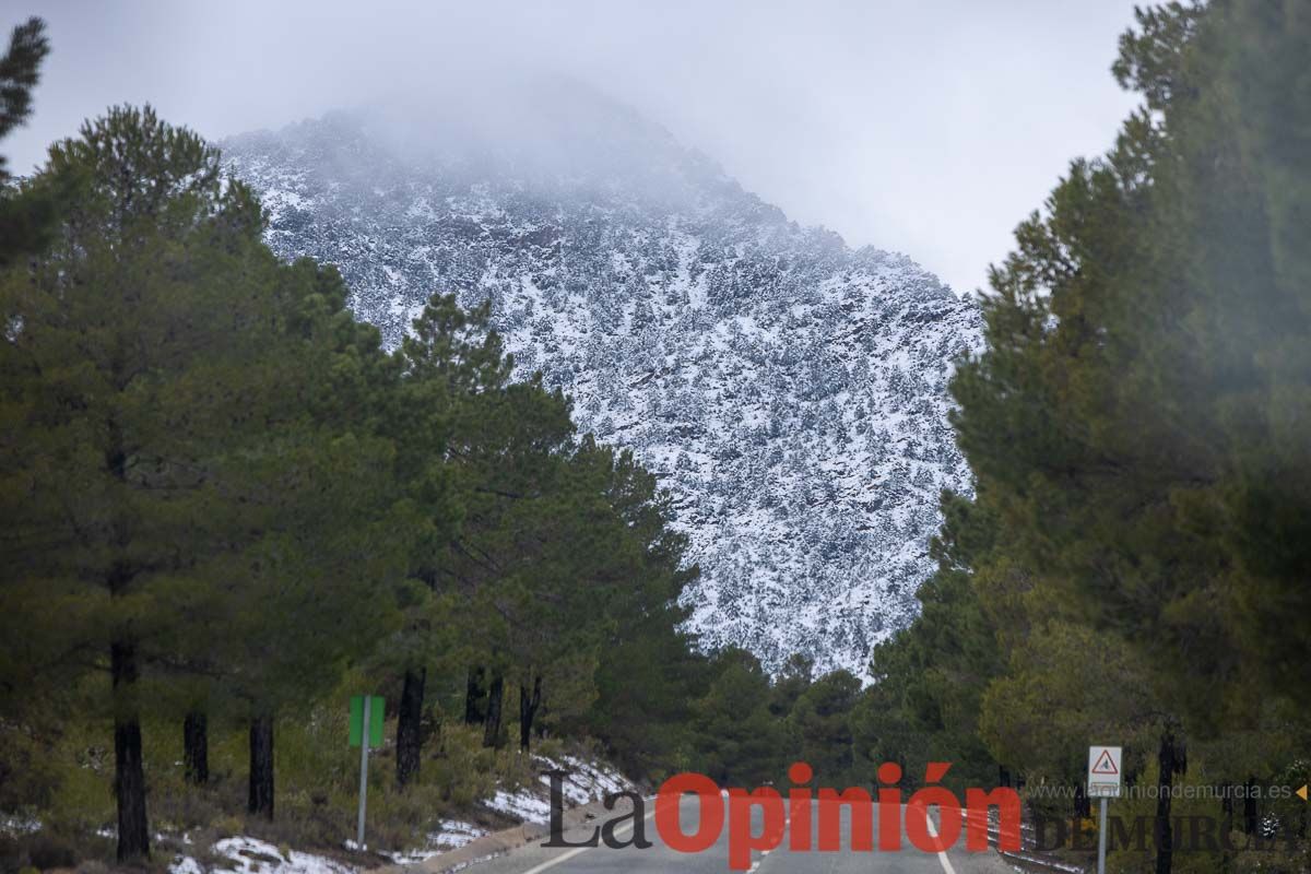 La comarca del Noroeste ofrece una estampa invernal