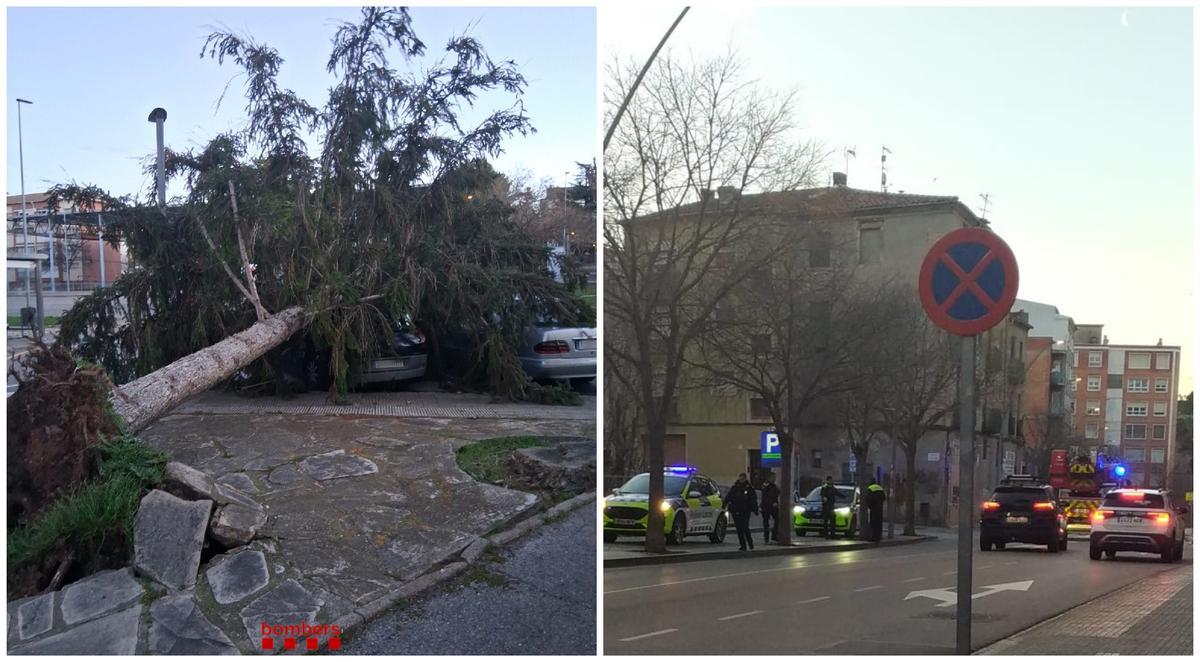 Caiguda d'un arbre al barri del Xup (esquerra) i sanejament d'una façana a la Muralla del Carme a Manresa (dreta)