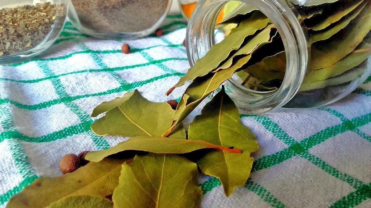 Hojas de laurel encima de una mesa