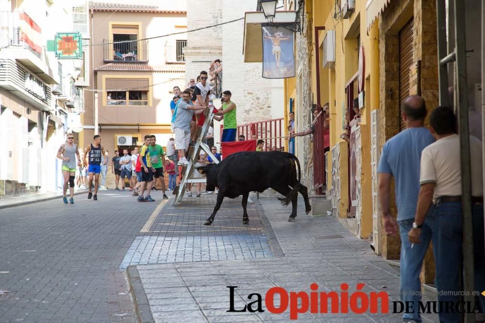 Primer encierro Moratalla