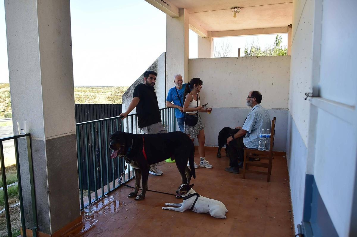 Fotogalería | Las imágenes del incendio de Casas de Millán, que ha obligado a evacuar a 800 personas Fotogalería | Las imágenes del incendio de Casas de Millán, que ha obligado a evacuar a 800 personas