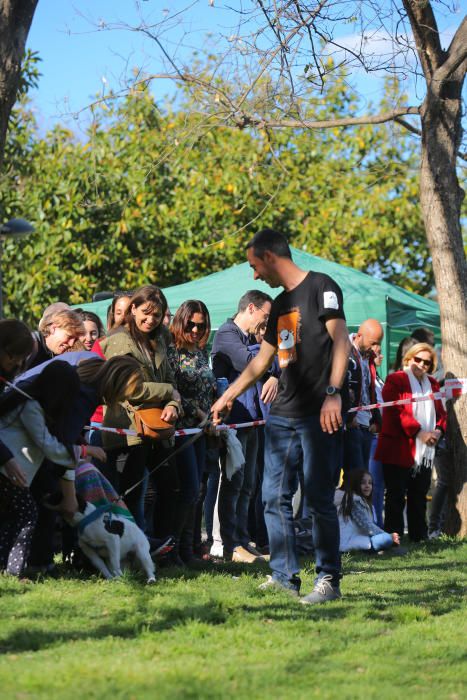 Feria del Bienestar Animal en València