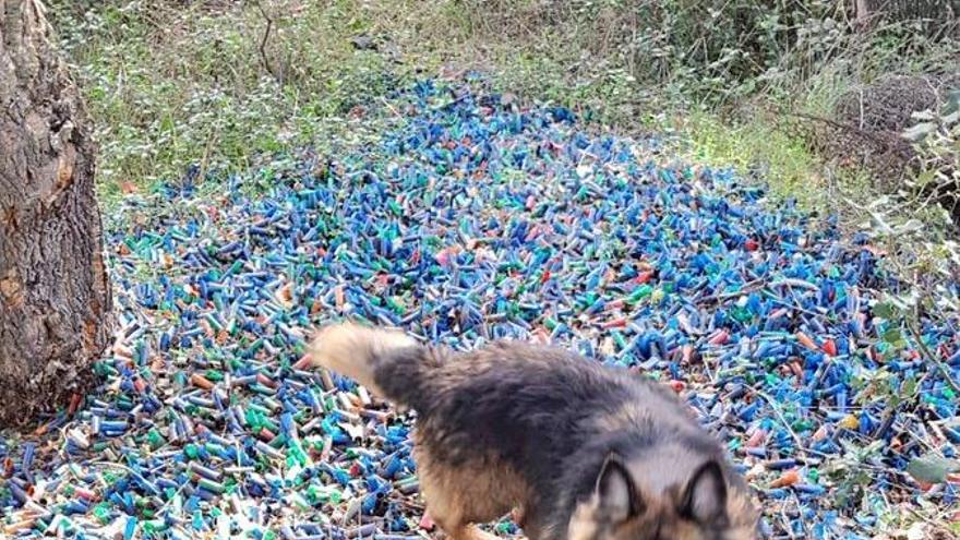 Localitzen un abocador de cartutxos en un antic camp de tir