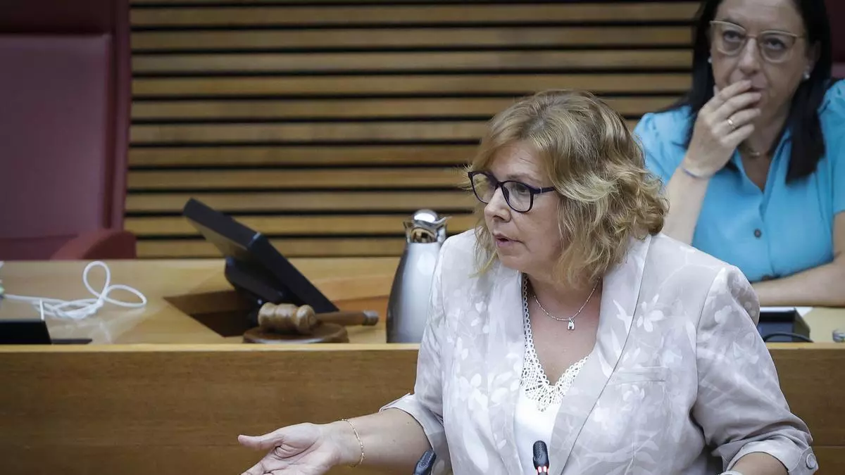 El PSOE denuncia la "farsa presupuestaria" del PP en la Marina Baixa por condenar a la comarca al «apartheid presupuestario» con Vox