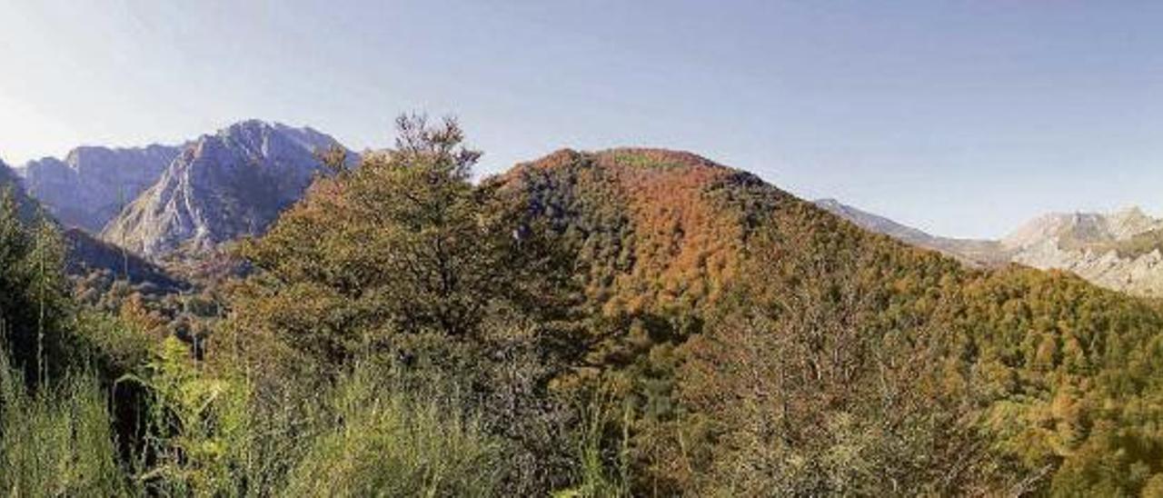 Panorámica del Parque Natural de Redes