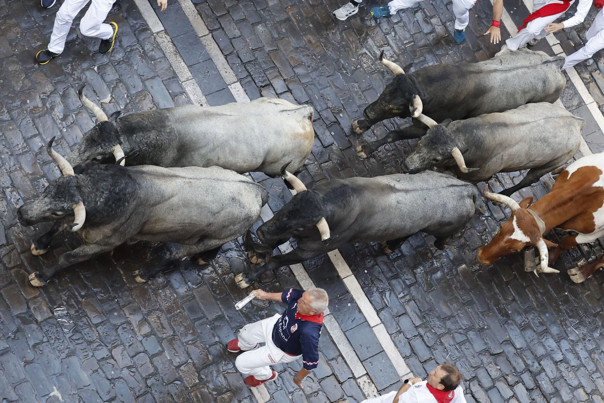 PAMPLONA, 12/07/2025.- Mozos perseguidos por los toros de la ganadería de José Escolar en el sexto encierro de los Sanfermines, este sábado en Pamplona. EFE/ Villar López