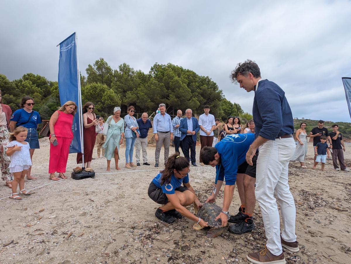 GALERÍA I La presentación de la nueva campaña para rescatar tortugas marinas, en imágenes