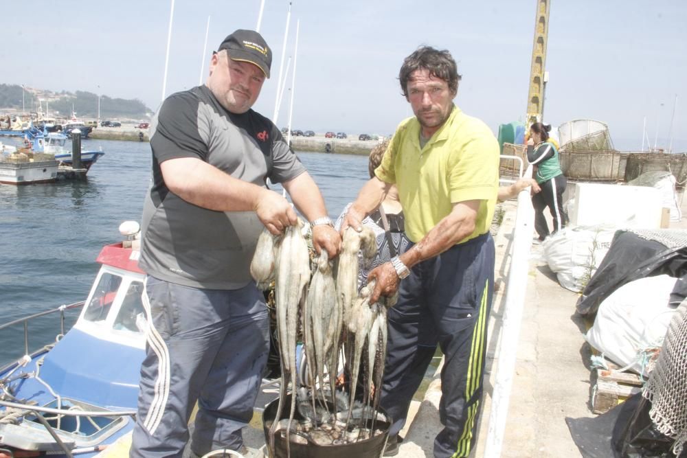 Por las lonjas de O Morrazo han pasado 400.000 kilos y 2,5 millones de euros.