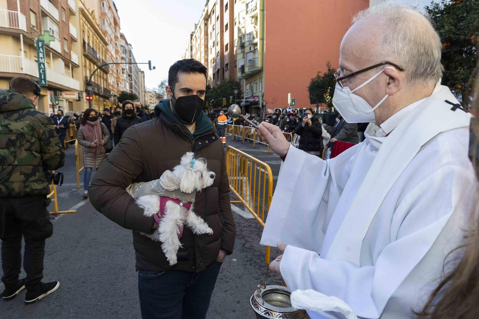 Búscate en la bendición de animales de Sant Antoni