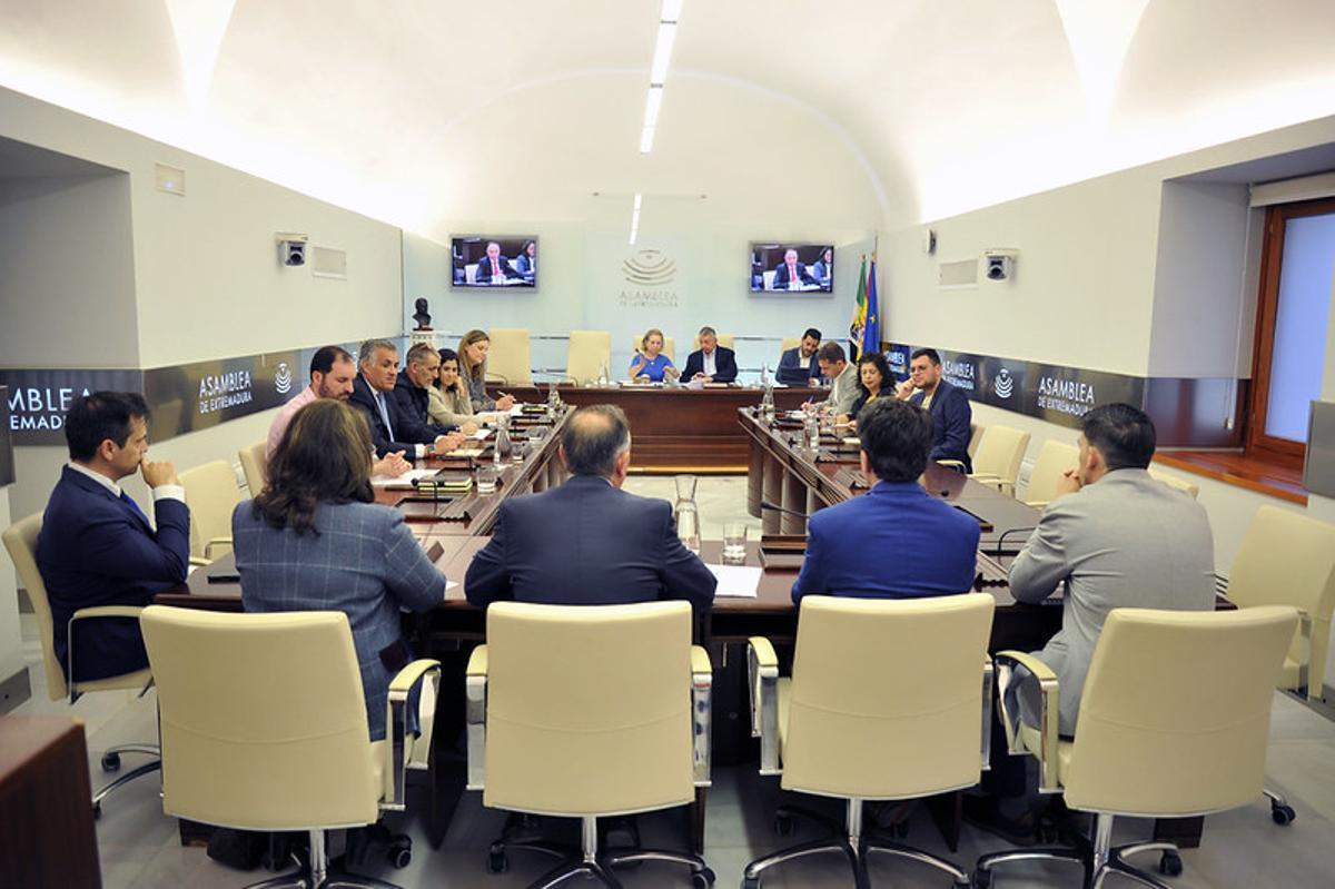 Comisión de Cultura, Turismo, Jóvenes y Deporte de la Asamblea de Extremadura.