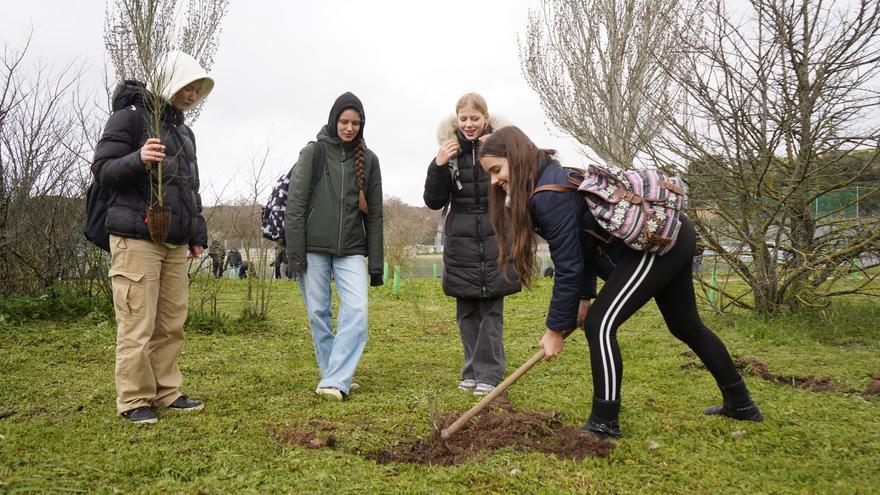 VÍDEO | Estudiantes alemanes y zamoranos plantan árboles en Valorio