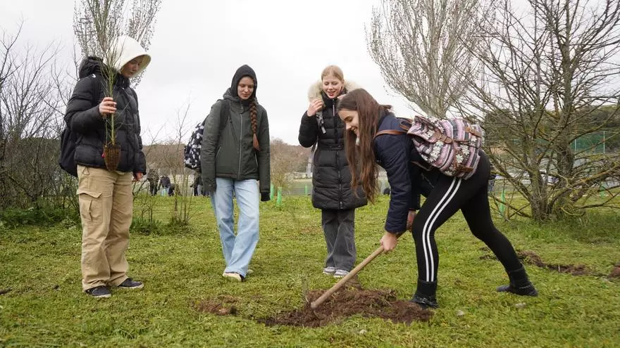 Erasmus en verde