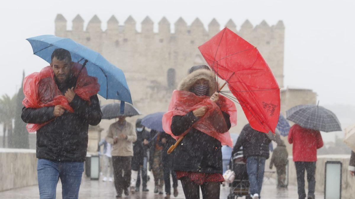 Viandantes protegidos de la lluvia en el Puente Romano de Córdoba.