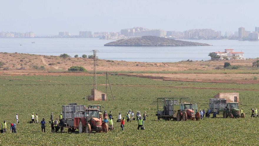 Freno a la contaminación por nitratos agrícolas en 285.000 hectáreas de Murcia