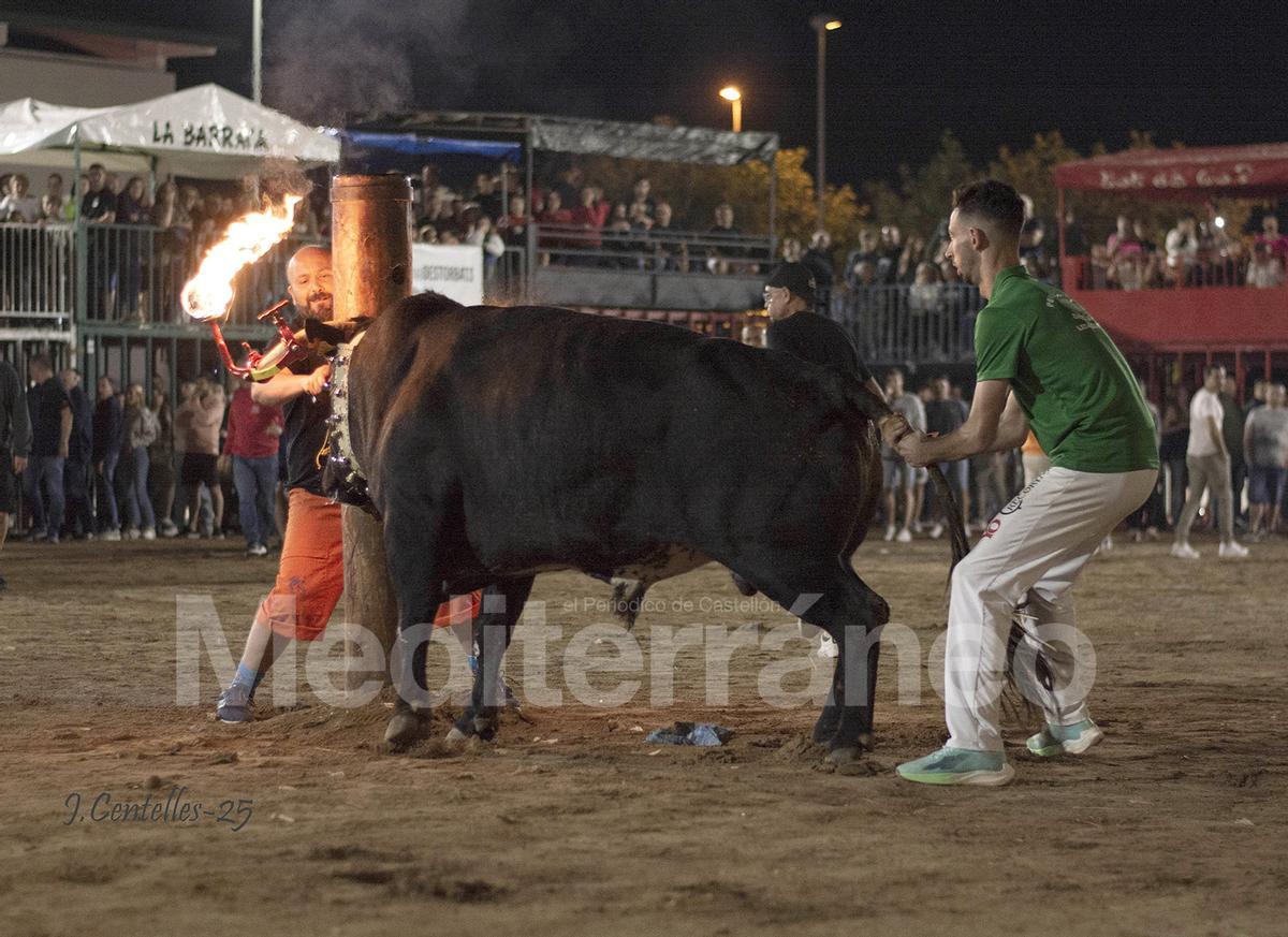 Bous a Les Alqueries 2025