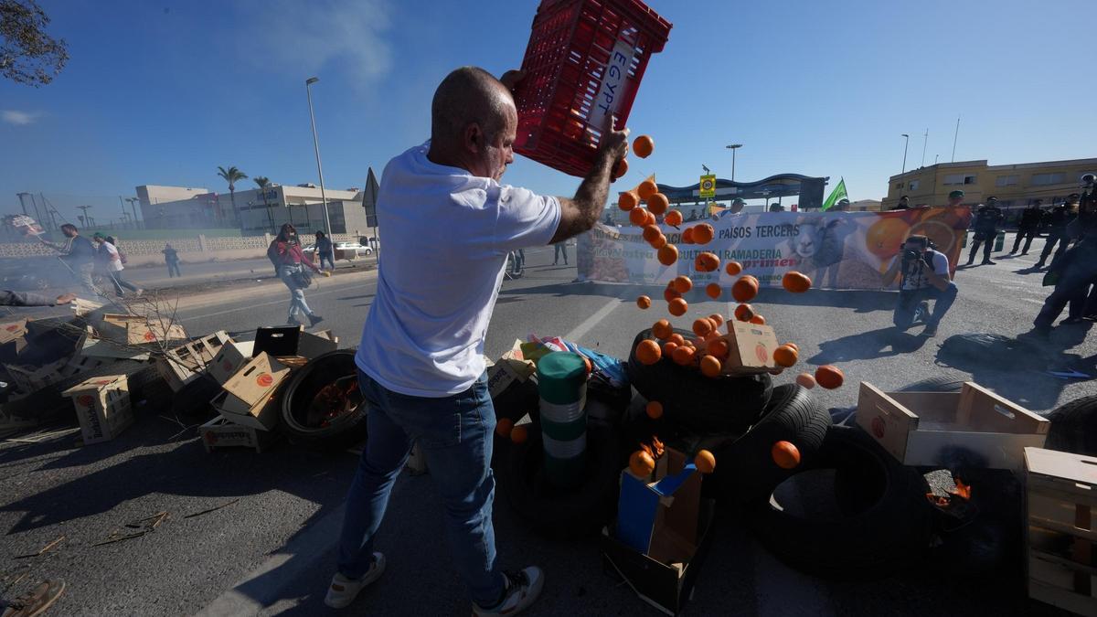 El secretario general de la Unió tira naranjas al suelo en protesta por la entrada de fruta foránea, este miércoles en el Puerto.