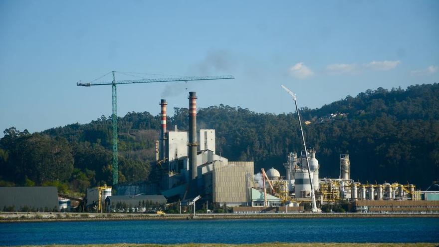 La planta de Ence en Lourizán.