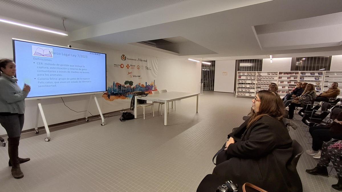 COLONIAS FELINAS VILA-REAL | Vila-real impulsa la protección de sus colonias felinas con nuevos talleres para voluntarios