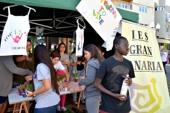 Mercadillo escolares emprendedores