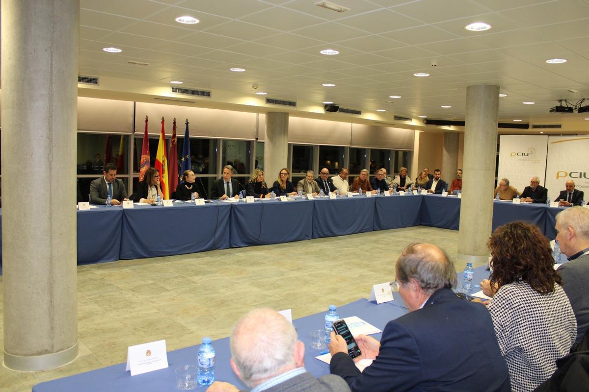 Consejo Social de la Ciudad, celebrado este jueves en el CDL.