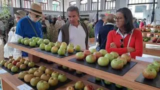El Festival de la Manzana de Villaviciosa ya es Fiesta de Interés Turístico Nacional: "Reconocemos el trabajo para preservar este patrimonio referente de la cultura sidrera"
