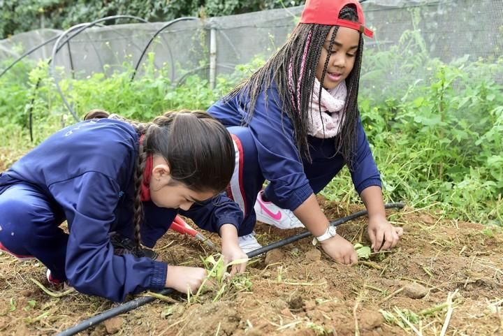 Visita escolar a la Granja Agricola del Cabildo