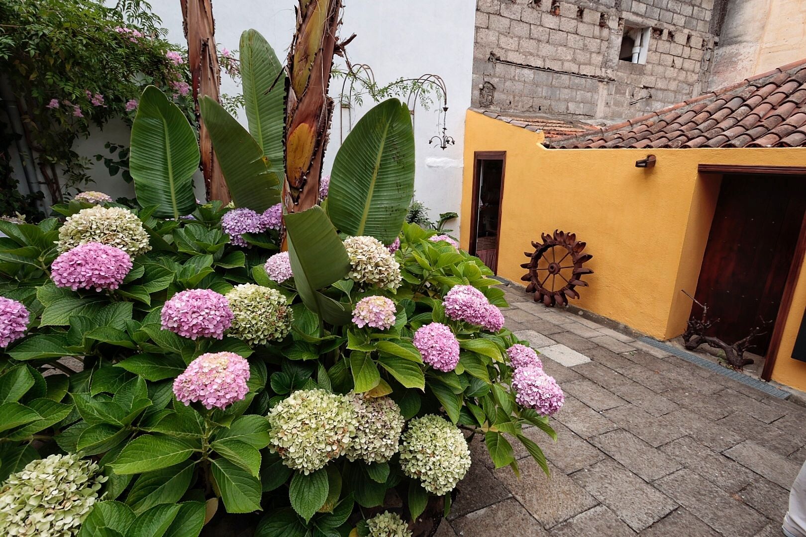 Molinos de La Orotava