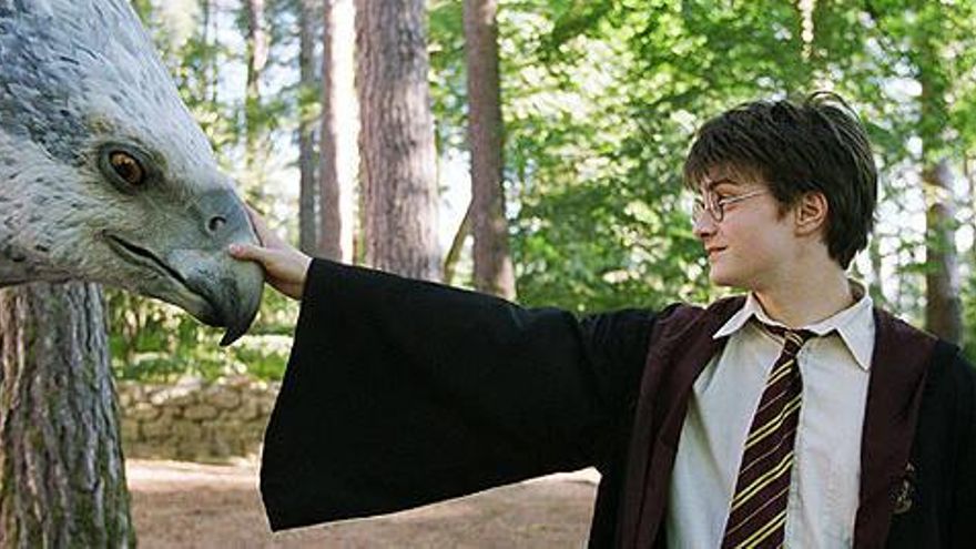 Harry Potter en una de les pel·lícules.