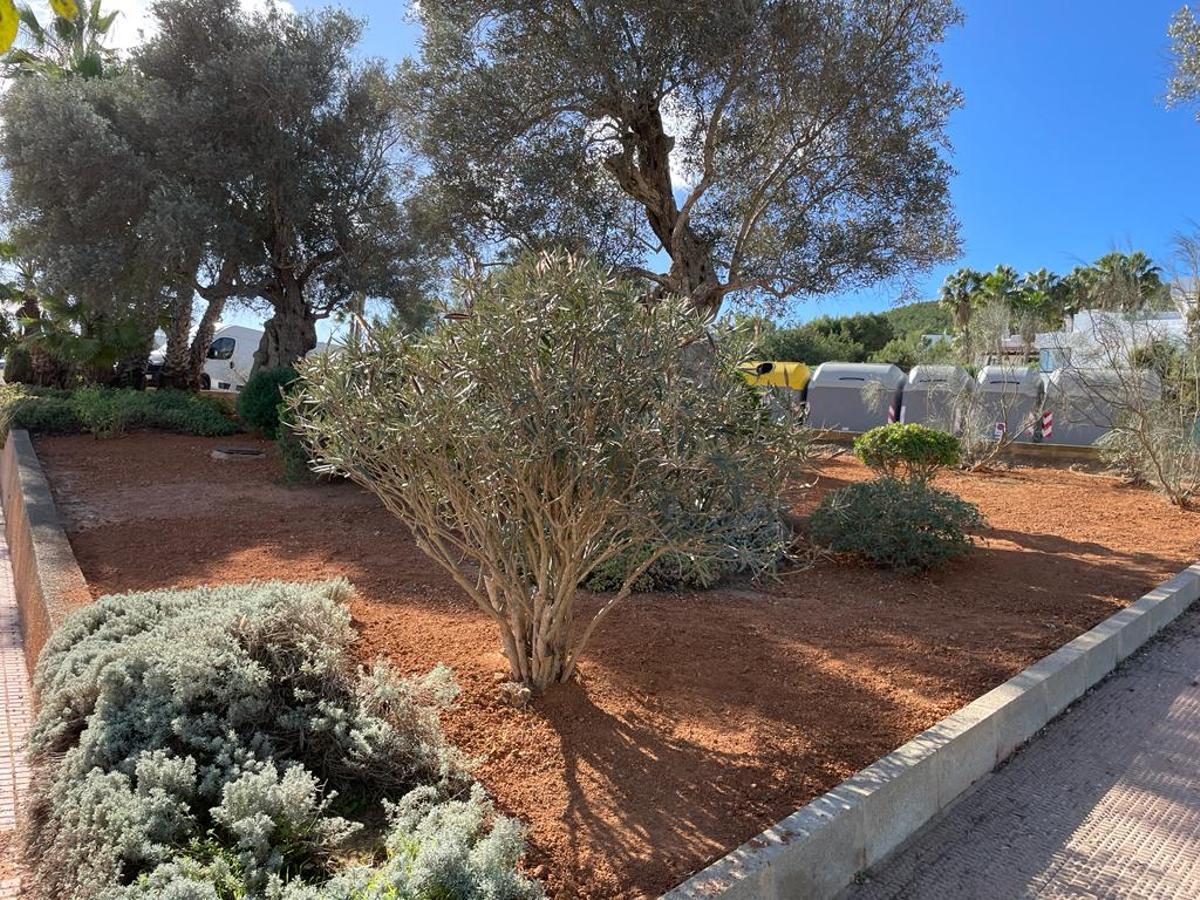 Mejoras de jardinería en el Polideportivo.