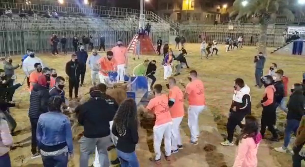 Polémica por la celebración del 'bou embolat' en Vila-real