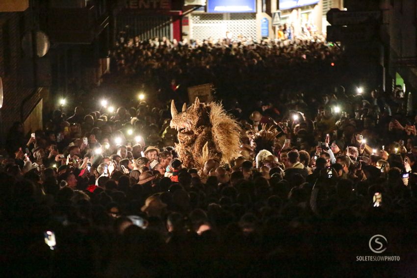 Suelta de la Mussona en el Carnaval de Águilas