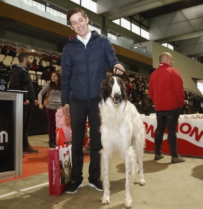 La Exposición Canina de Vigo cierra una nueva edición con grandes resultados.