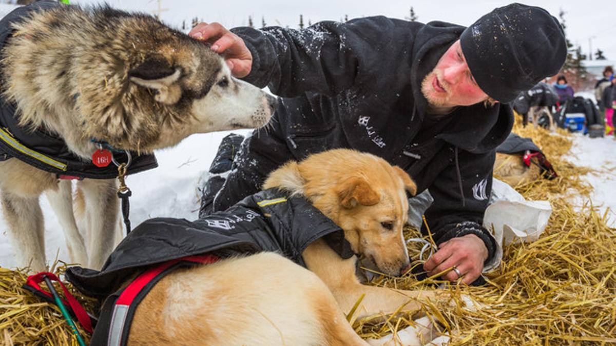 Un hombre cuida de sus mascotas, este lunes en Koyuk (Alaska).