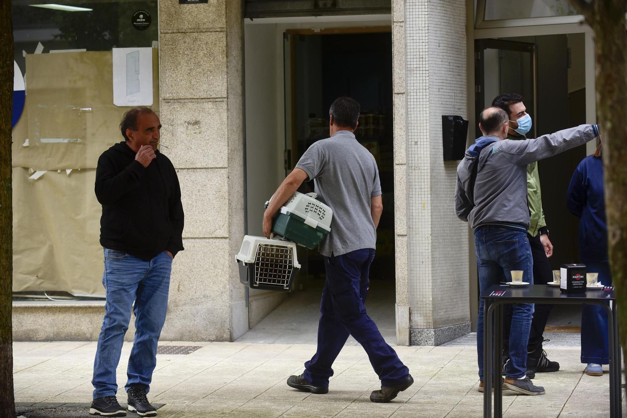 Rescate de una veintena de gatos hacinados en un piso de Os Mallos
