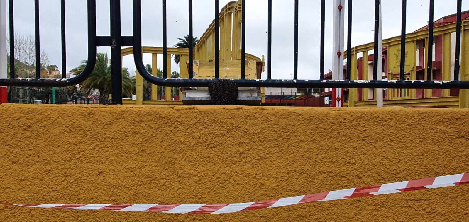 Un enjambre de abejas negras 'toma' la cancha de un colegio de Santa Brígida