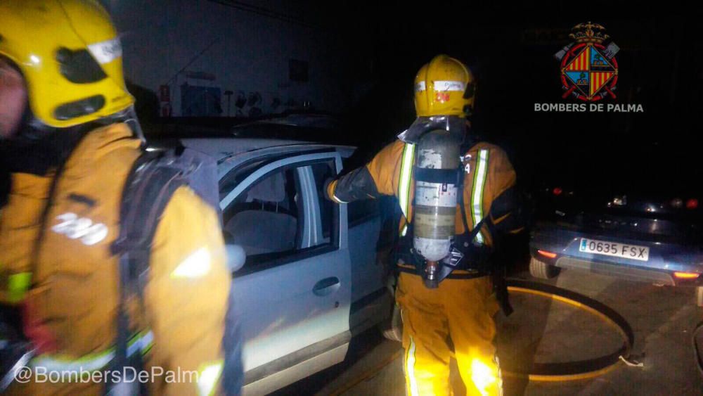 Los bomberos rescatan a un perro atrapado en un incendio en Son Castelló