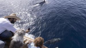 Balenes al Mediterrani