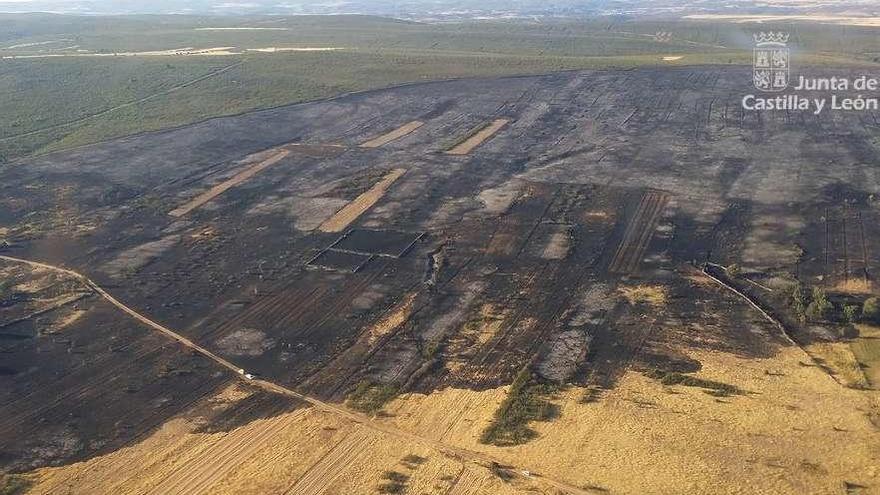 Superficie quemada en el incendio forestal de Abejera en una fotografía aérea.
