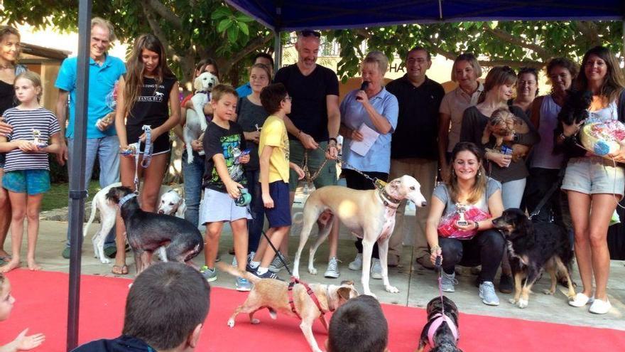 SOS Animal Mallorca recauda unos 10.000 euros en su fiesta en Portals