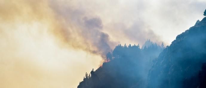 10-08-2019 ARTENARA. Incendio en la cumbre de Gran Canaria  | 10/08/2019 | Fotógrafo: Andrés Cruz