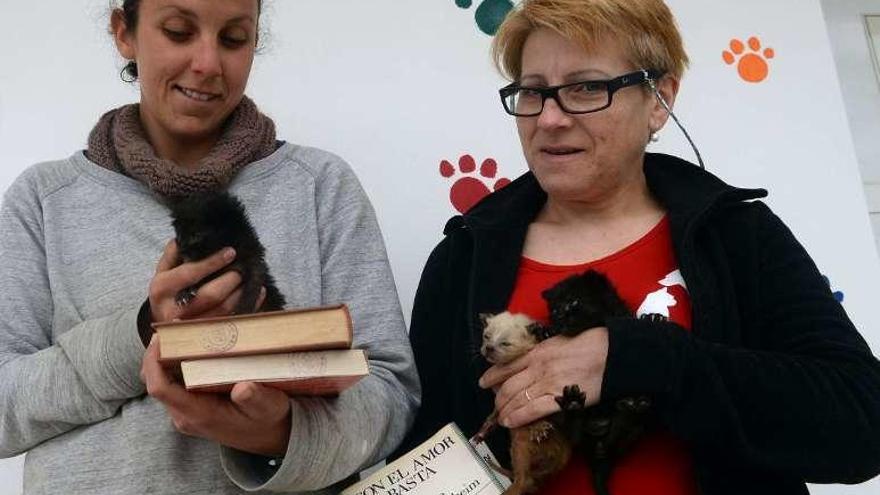 Miembros de la Protectora con libros y gatitos. // Noé Parga