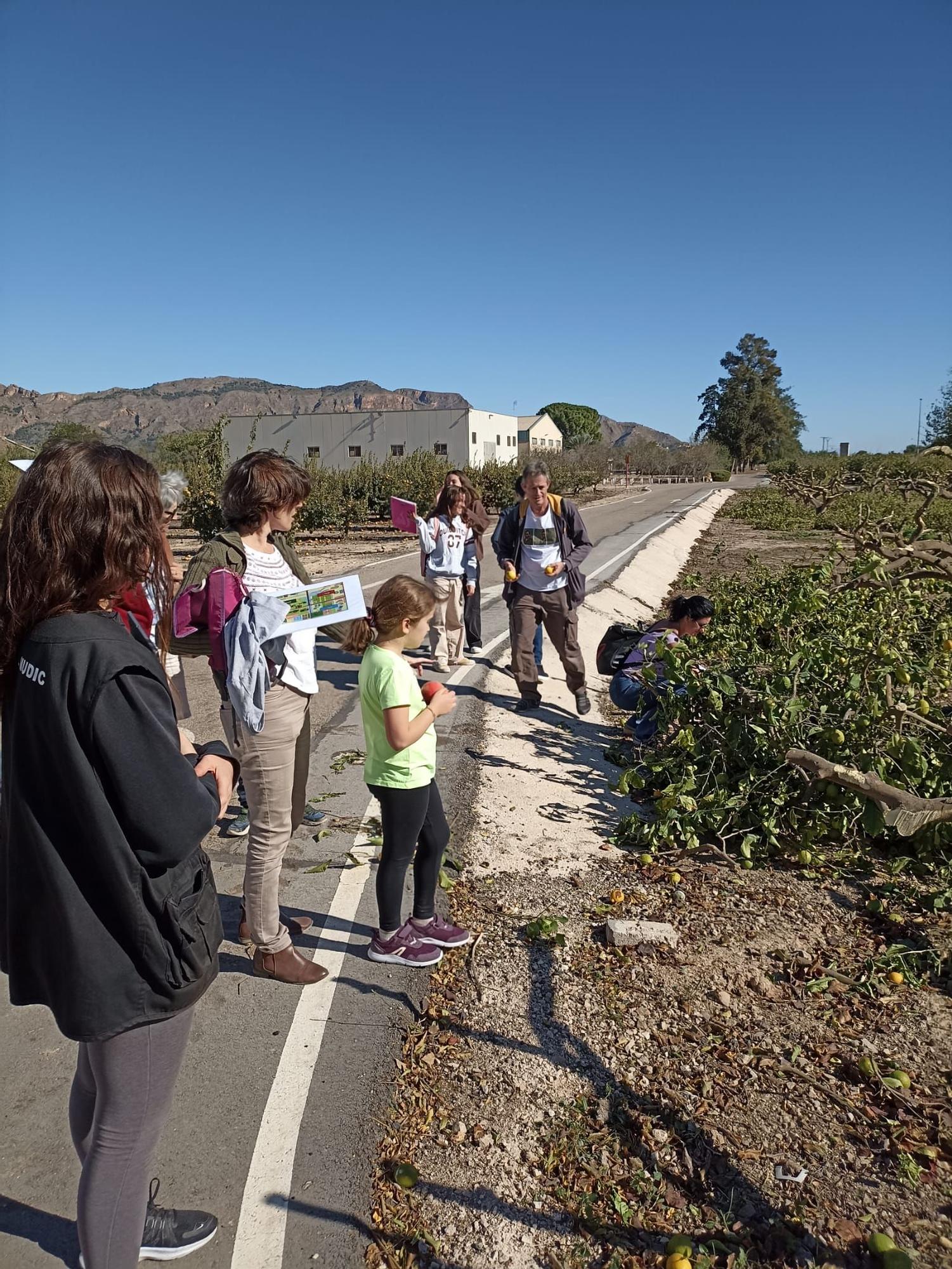 Un paseo botánico por el Museo de Ciencias en Orihuela para conocer más de 60 especies