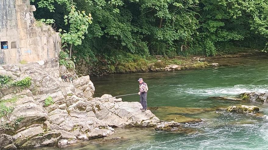Malestar entre los pescadores cuando los bañistas se lanzan al río desde el puente "romano", en Cangas de Onís