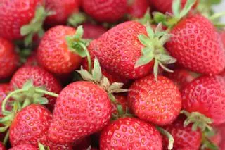 Fresas: aroma color y sabor