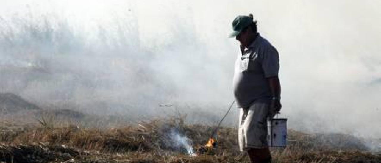 Las quemas de paja del arroz vuelven al marjal